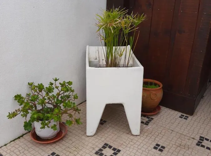 Sofia * フォス・ド・アレーリョ