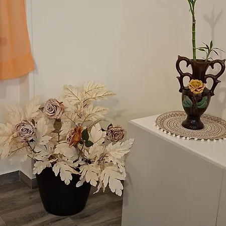 Sofia Holiday home